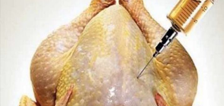 carne de pollo contiene arsénico cancerígeno